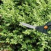 Fiskars S50 Ψαλίδι Χλόης 1000557