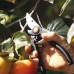 Fiskars P90 Ψαλίδι Κλαδέματος 23cm με Μέγιστη Διάμετρο Κοπής 26mm